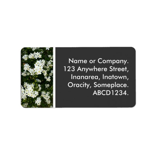 Kleine weiße Blume Adressaufkleber (Vorne)