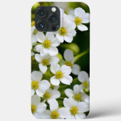 Kleine, weiße Blume Case-Mate iPhone Hülle (Rückseite)