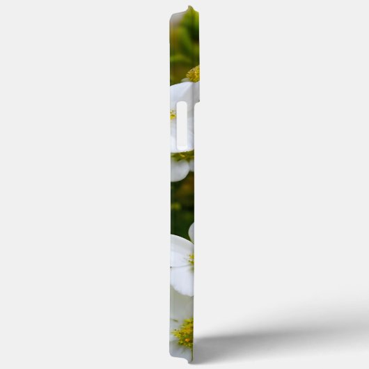 Kleine, weiße Blume Case-Mate iPhone Hülle (Rückseite / Rechts)
