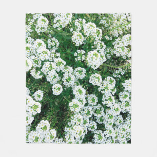 Kleine weiße Blume im Gras, tagsüber in Fleecedecke