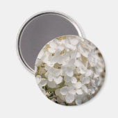 Kleine weiße Blumen Magnet (Vorderseite/Rückseite)