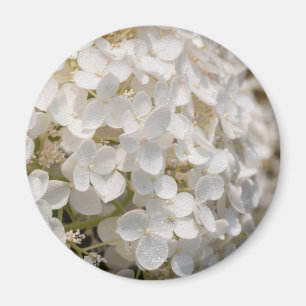 Kleine weiße Blumen Magnet