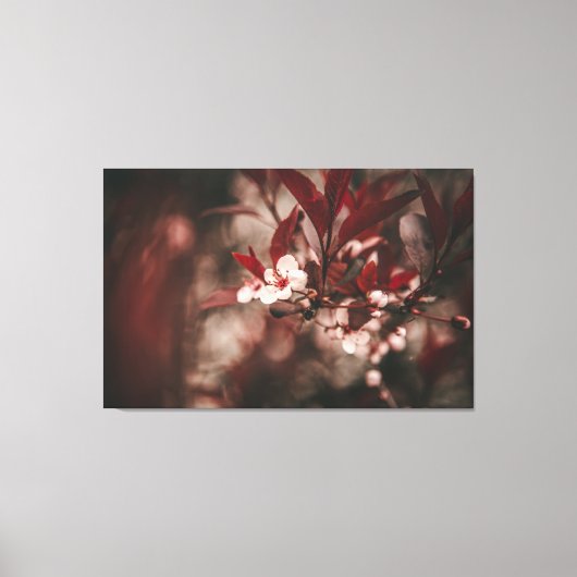 Kleine weiße Blüten Leinwanddruck (Vorderseite)