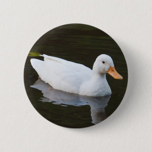 Kleine weiße Ente Button