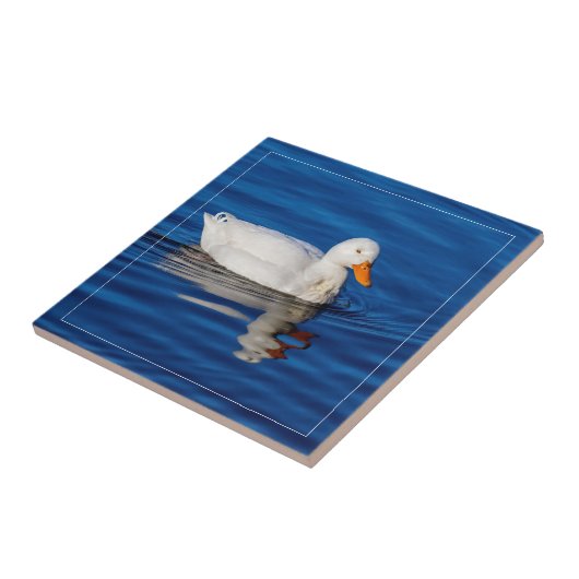 Kleine weiße Ente in geflecktem Wasser Fliese (Seite)