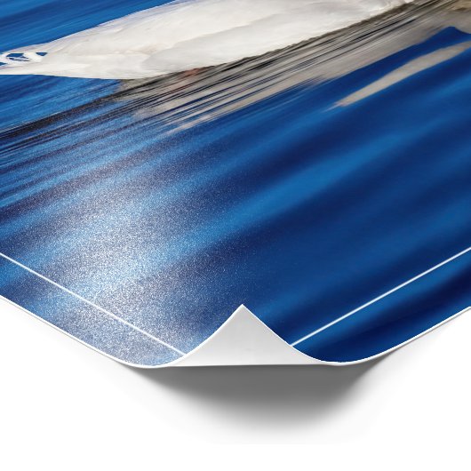 Kleine weiße Ente in geflecktem Wasser Fotodruck (Ecke)