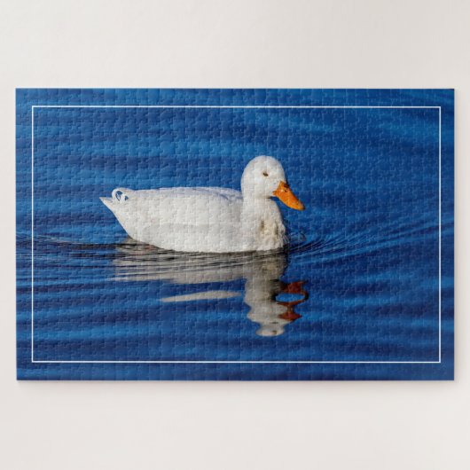 Kleine weiße Ente in geflecktem Wasser Puzzle (Horizontal)