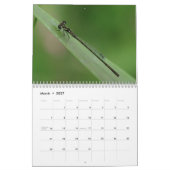 Kleine Wildtiere: Insektenkalender Kalender (Mär 2027)