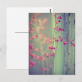 Kleine Zellen Postkarte (Vorne/Hinten)