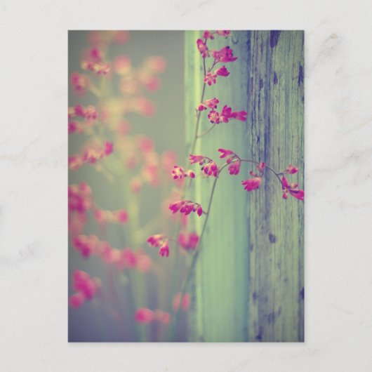 Kleine Zellen Postkarte (Vorderseite)