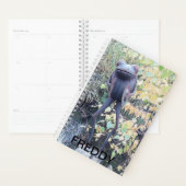 Kleine Zierstatue eines Frosches. Planer (Anzeige)