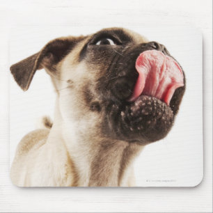 Kleine Zucht des Hundes mit kurzem Muzzled Gesicht Mousepad