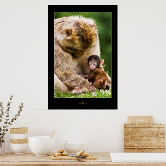 Kleiner Affe schlafen Poster (Küche)