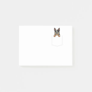 Kleiner australischer Rinderhund in der Tasche Post-it Klebezettel