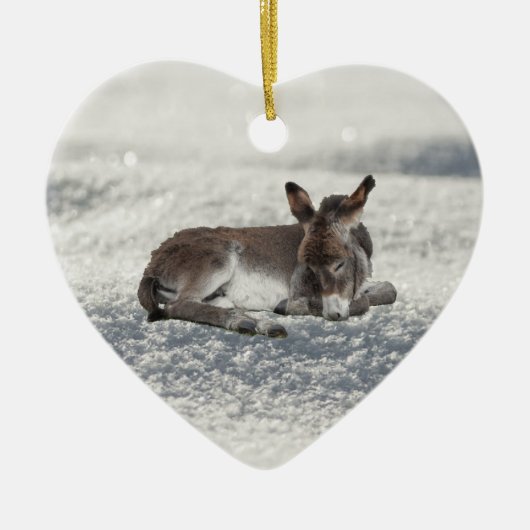 Kleiner Baby-Donkey im Schnee Keramik Ornament (Vorne)