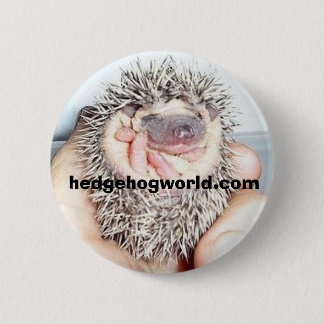 kleiner Babyballknopf Button