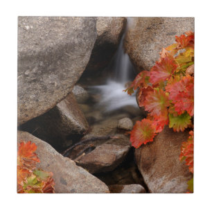 Kleiner Bach im Herbst, Kalifornien Fliese