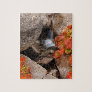 Kleiner Bach im Herbst, Kalifornien Puzzle