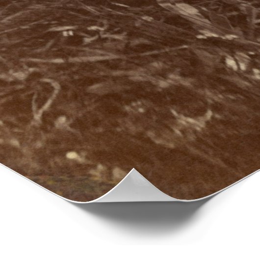 Kleiner Bär, Cheyenne, 1875 Poster (Ecke)