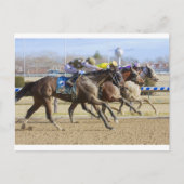 Kleiner Bär Postkarte (Vorderseite)