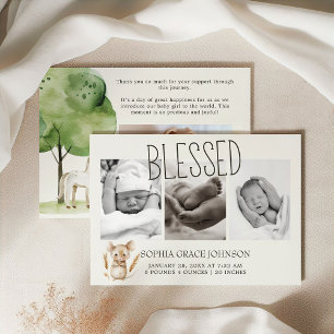 Kleiner Bauernhof Tierbabys Ankündigung