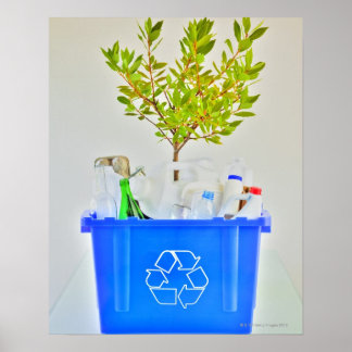 Kleiner Baum Poster