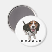 Kleiner Beagle Magnet (Vorderseite/Rückseite)