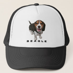 Kleiner Beagle Truckerkappe