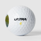 Kleiner Bibersee Frühjahr Golfball (Logo)