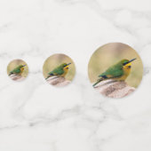 Kleiner Bienenfresser Konfetti (Vorderseiten)