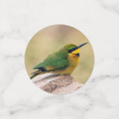 Kleiner Bienenfresser Konfetti (Klein Vorderseite)