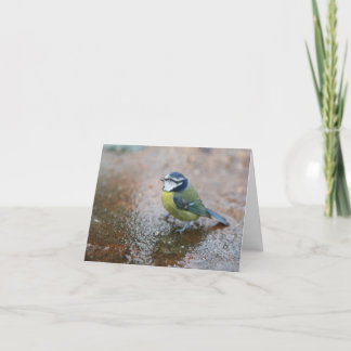 Kleiner Blaue Vogel im Regen Feiertagskarte