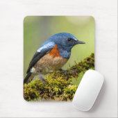 Kleiner blauer Vogel Mousepad (Mit Mouse)