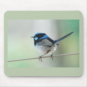 Kleiner blauer Zaunkönig (großartig fairywren), Mousepad