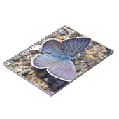 Kleiner Blauschmetterling Notizblock (Linke Seite)