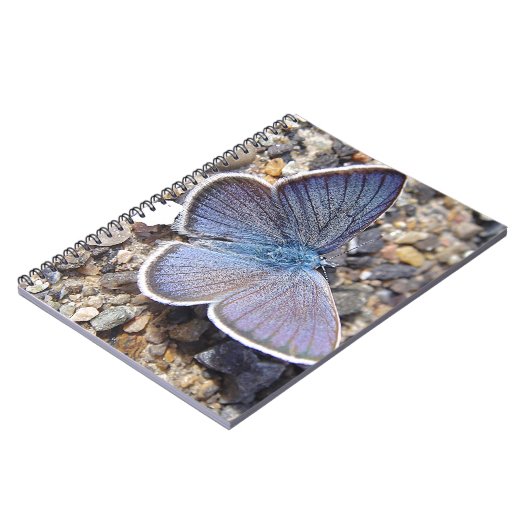 Kleiner Blauschmetterling Notizblock (Linke Seite)