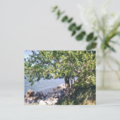 Kleiner Bucht-Park-Baum und Felsen Postkarte (Stehend Vorderseite)