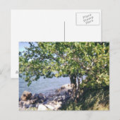 Kleiner Bucht-Park-Baum und Felsen Postkarte (Vorne/Hinten)