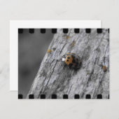 Kleiner Bug (Vorne/Hinten)