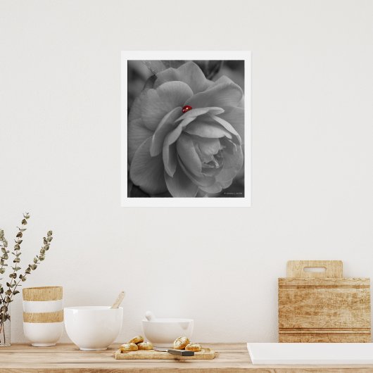 Kleiner Bug an einer Blume Poster (Küche)