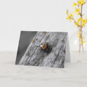 Kleiner Bug Karte (Gelbe Blume)