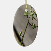 Kleiner Bug, kleine Blume Keramikornament (Rechts)