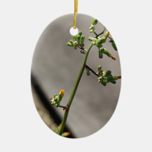 Kleiner Bug, kleine Blume Keramikornament