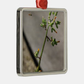 Kleiner Bug, kleine Blume Silbernes Ornament (Rechts)