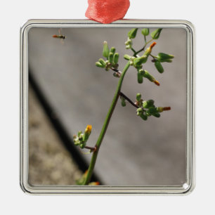 Kleiner Bug, kleine Blume Silbernes Ornament