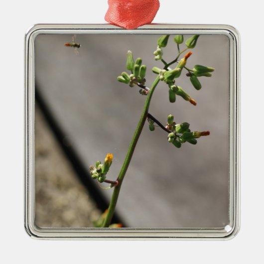 Kleiner Bug, kleine Blume Silbernes Ornament (Vorne)