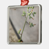 Kleiner Bug, kleine Blume Silbernes Ornament (Links)