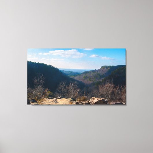 Kleiner Canyon, Petit Jean Staat Park, Arkansas Leinwanddruck (Vorderseite)