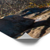 Kleiner Canyon, Petit Jean Staat Park, Arkansas Poster (Ecke)