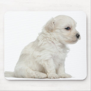 Kleiner Chien-Löwe oder kleiner Löwe-Hundewelpe Mousepad